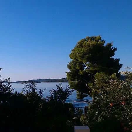 Surjak Διαμέρισμα *