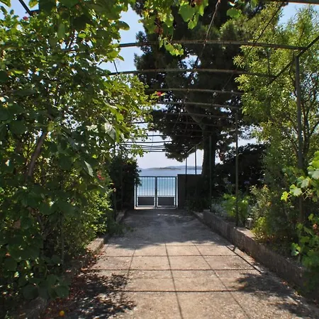 Surjak Διαμέρισμα