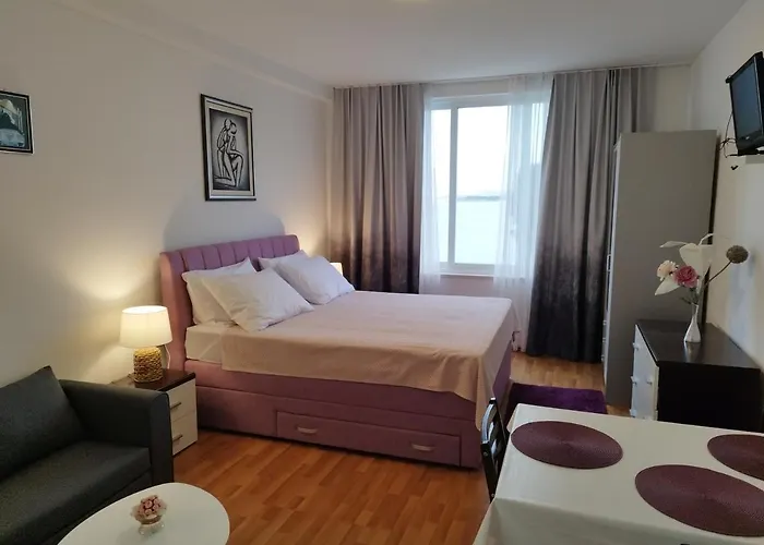 公寓 Surjak 奥瑞比克