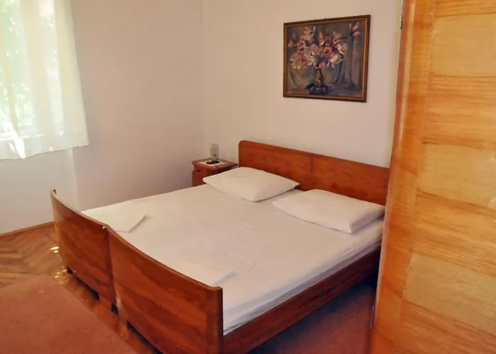 Surjak * 奥瑞比克