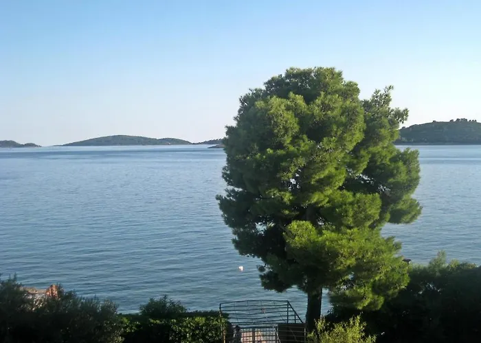 公寓 Surjak 奥瑞比克