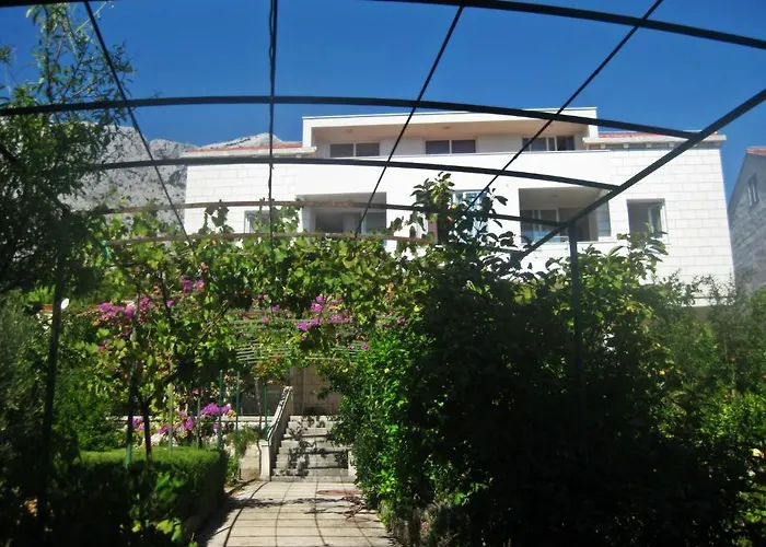 Surjak * 奥瑞比克