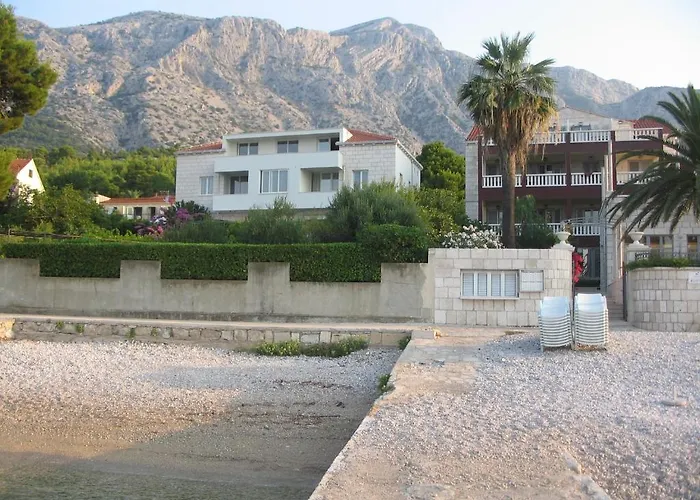 Surjak * 奥瑞比克