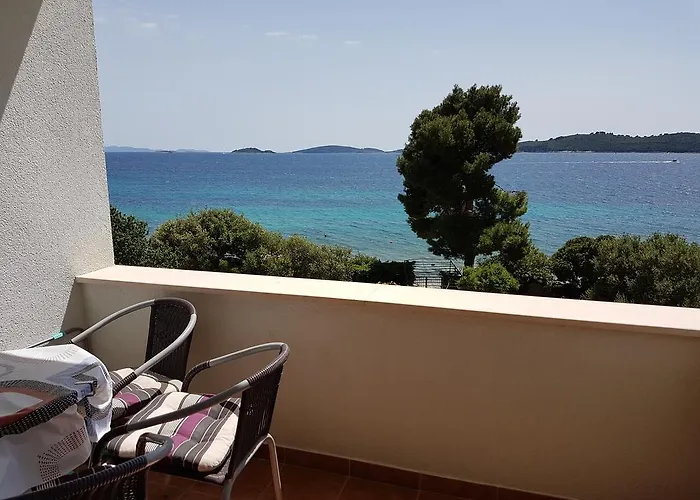 Surjak * 奥瑞比克