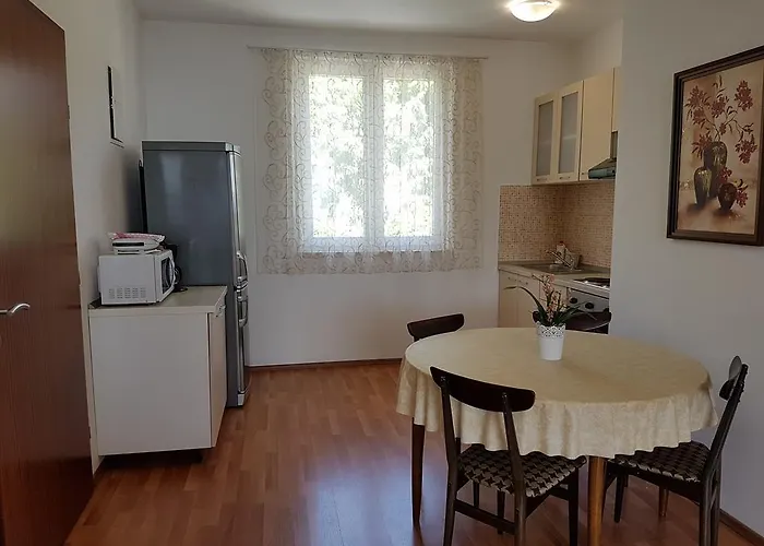 Surjak * 奥瑞比克